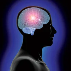 Head and Brain image from "Are You Out of Your Mind" with Oliver Sacks, Neil deGrasse Tyson