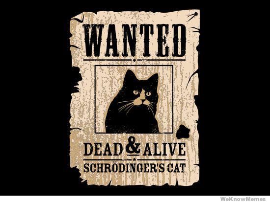 Wanted: Schrodingers Cat Dead and Alive