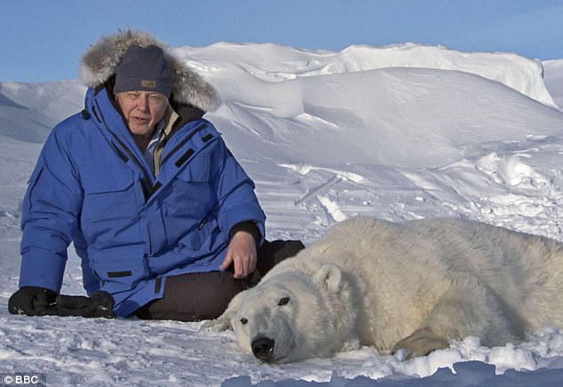 David Attenborough_Frozen Planet_BBC