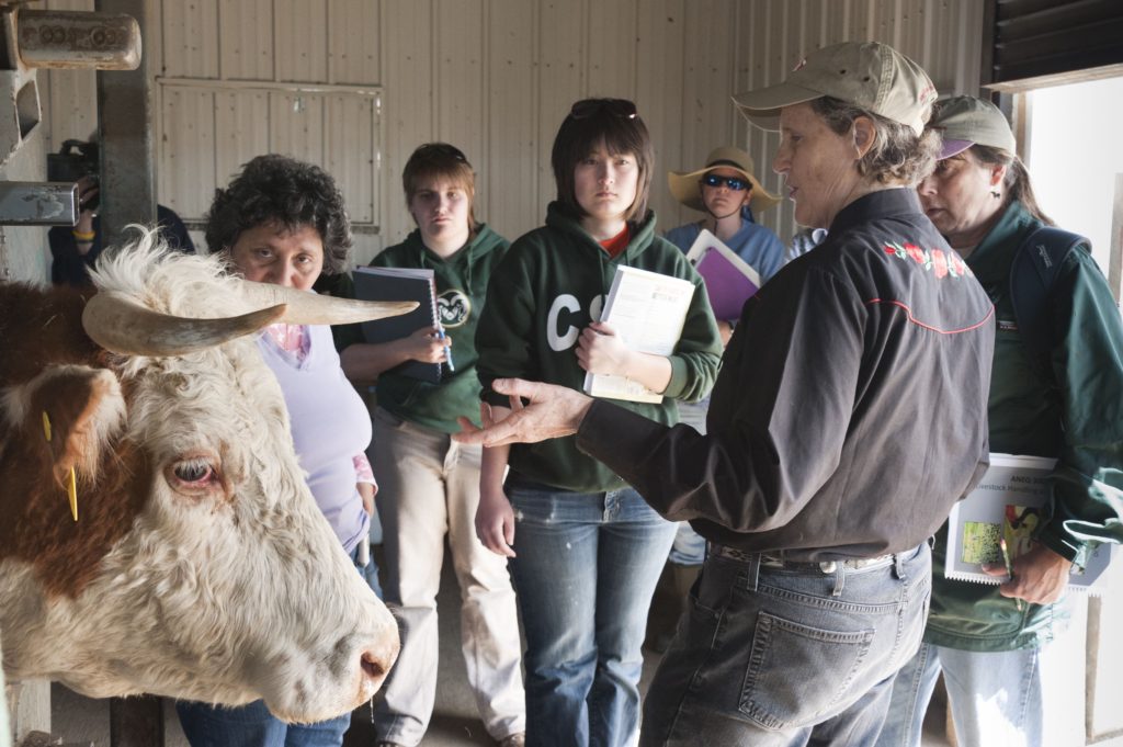Photo of Dr. Temple Grandin teaching Animal Sciences at Colorado State University.