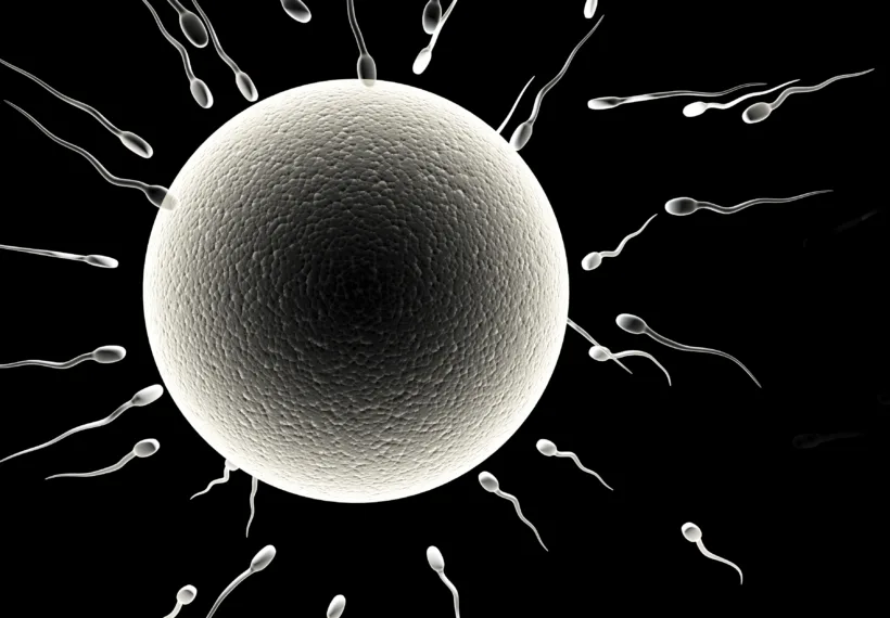 Spermatazoons and Ovule for the Evolution of Love and Sex on StarTalk. Credit: frentusha/iStock.