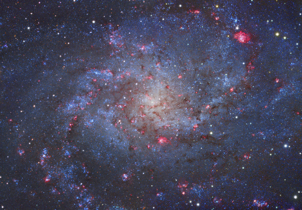 Photo of M33, NGC 598, the Triangulum Galaxy. Imaged by Tony Hallas, using a Celestron EdgeHD 11” telescope, used for Mission 5 of #CelestronMissionStarTalk.