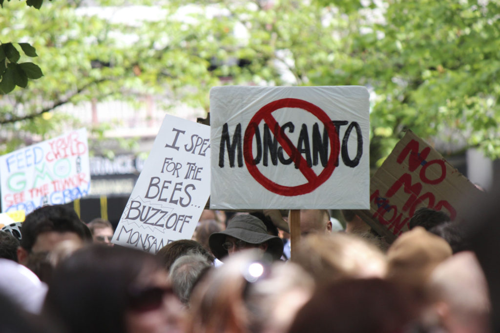 Photo of protesters at an anti-GMO, anti-Monsanto rally. Credit: Blondcupie-iStock-Thinkstock.