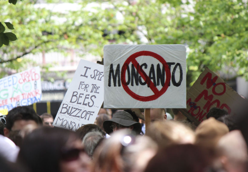 Photo of protesters at an anti-GMO, anti-Monsanto rally. Credit: Blondcupie-iStock-Thinkstock.