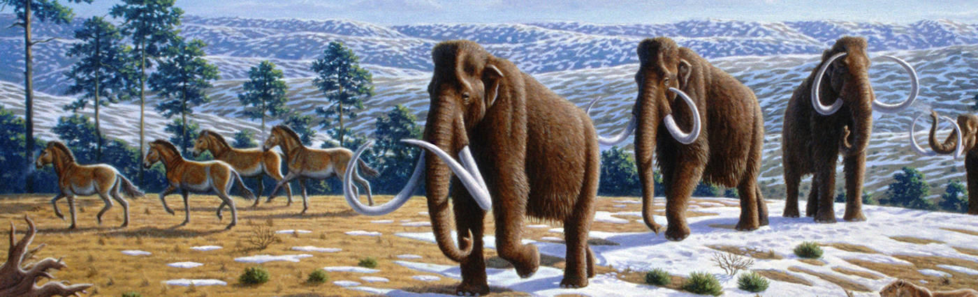 Mauricio Antón's illustration showing Ice age fauna of northern Spain.