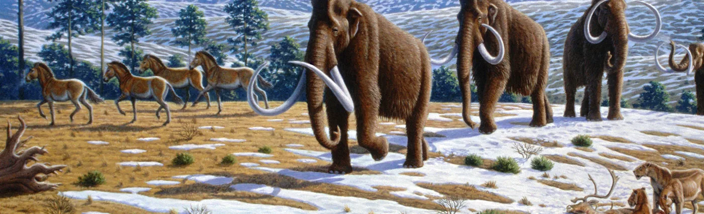 Mauricio Antón's illustration showing Ice age fauna of northern Spain.
