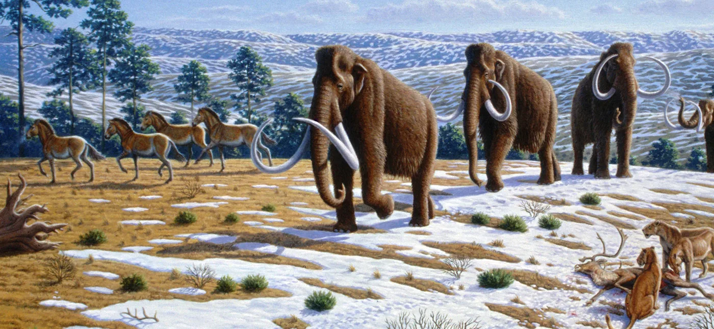 Mauricio Antón's illustration showing Ice age fauna of northern Spain.