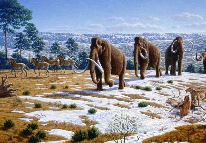 Mauricio Antón's illustration showing Ice age fauna of northern Spain.