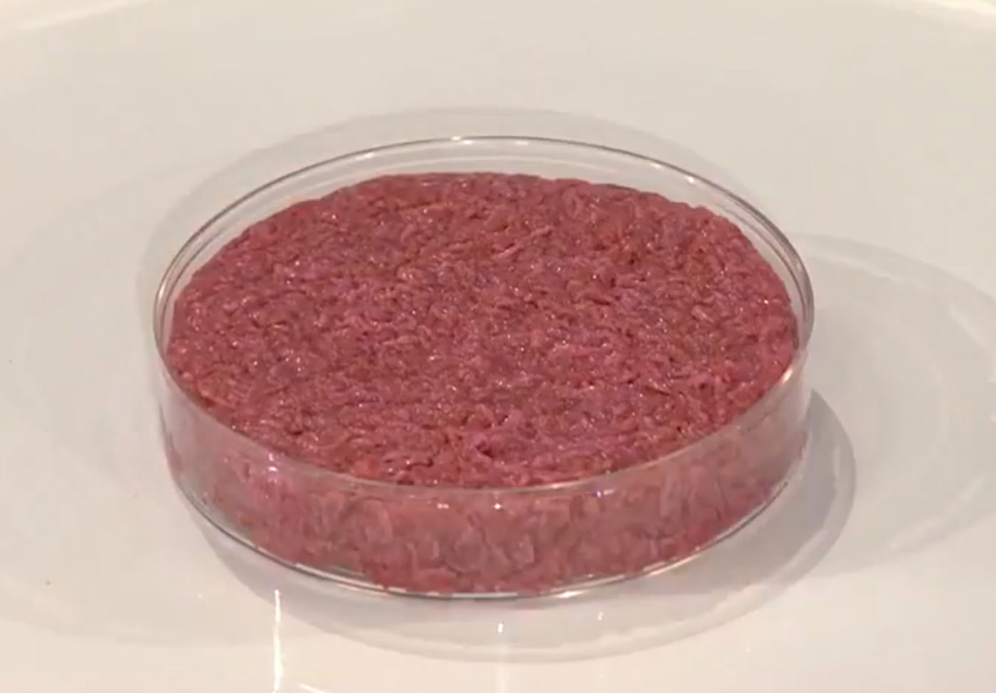 Photo of the world's first cultured hamburger (yet unbaked here), presented at a news conference in London on 5 August 2013. Credit: World Economic Forum via Wikimedia Commons.