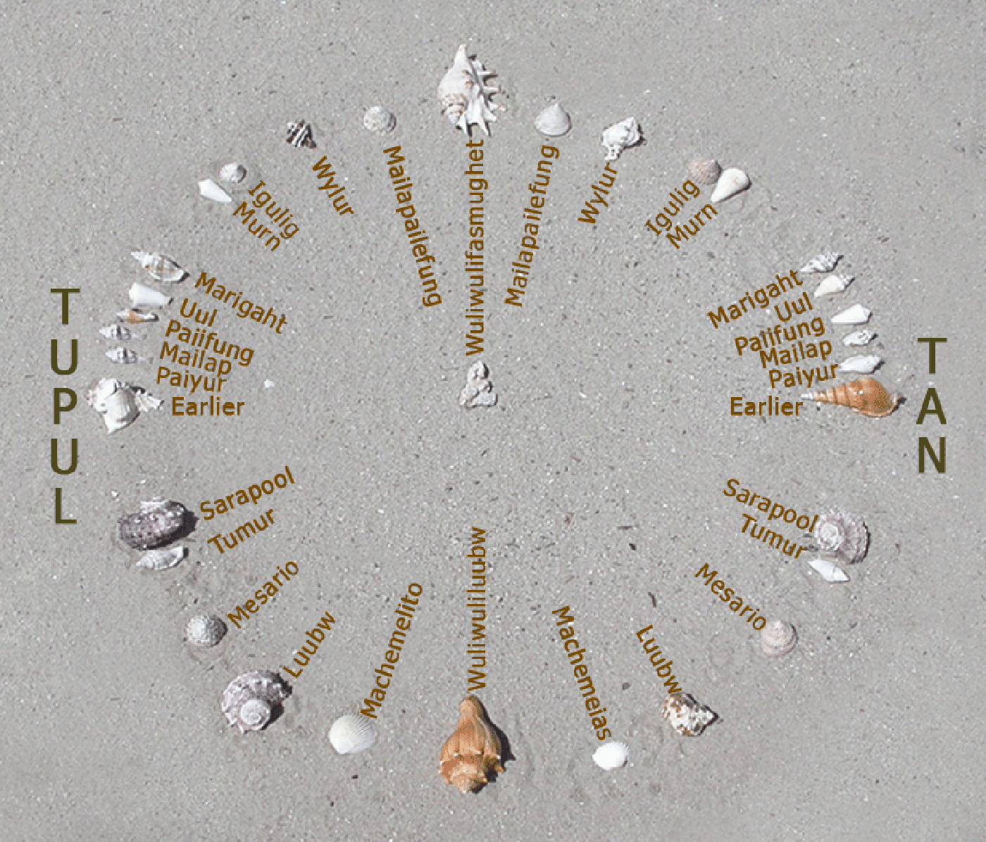 Newportm’s photo of a recreation of a Mau Piailug star-compass depicted with shells on sand, with Satawalese (See Trukic languages) text labels, as described by the Polynesian Voyaging Society, via Wikimedia Commons.