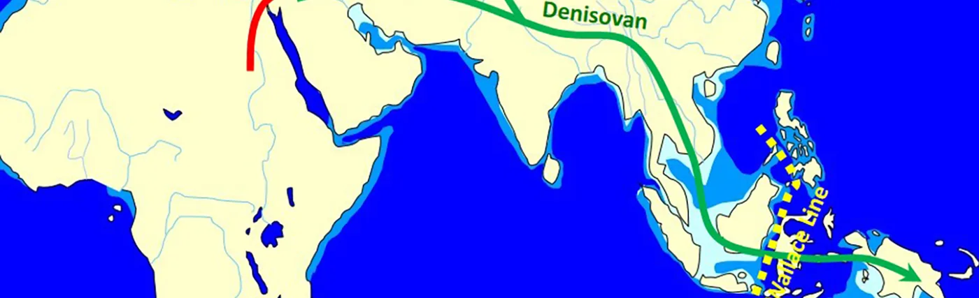 Map showing the spread and evolution of Denisovans. Credit: John D. Croft via Wikimedia Commons.