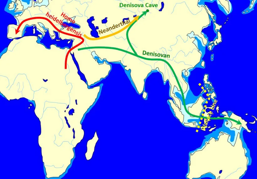 Map showing the spread and evolution of Denisovans. Credit: John D. Croft via Wikimedia Commons.
