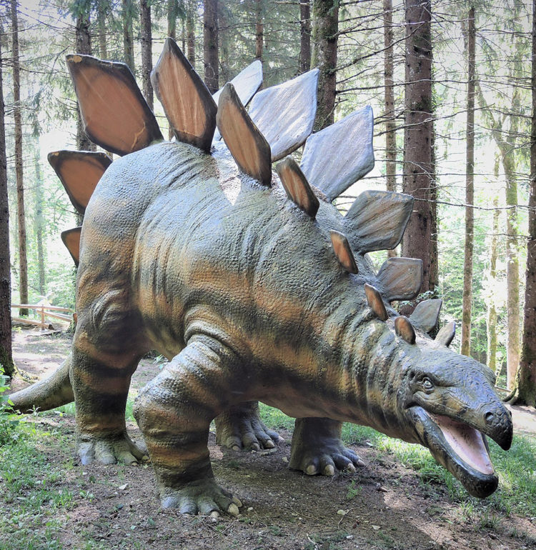 Photo of a Stegosaurus re-creation, by Espirat via Wikimedia Commons.
