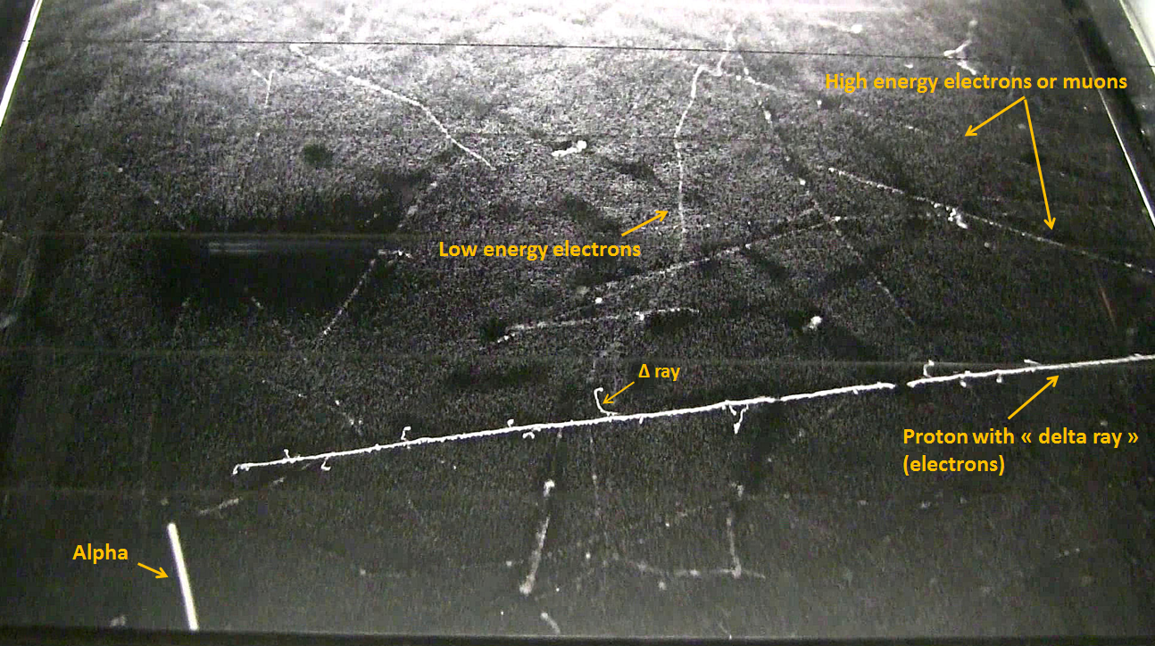 A cloud chamber with various particle tracks. Source: Wikipedia/Cloudylabs.