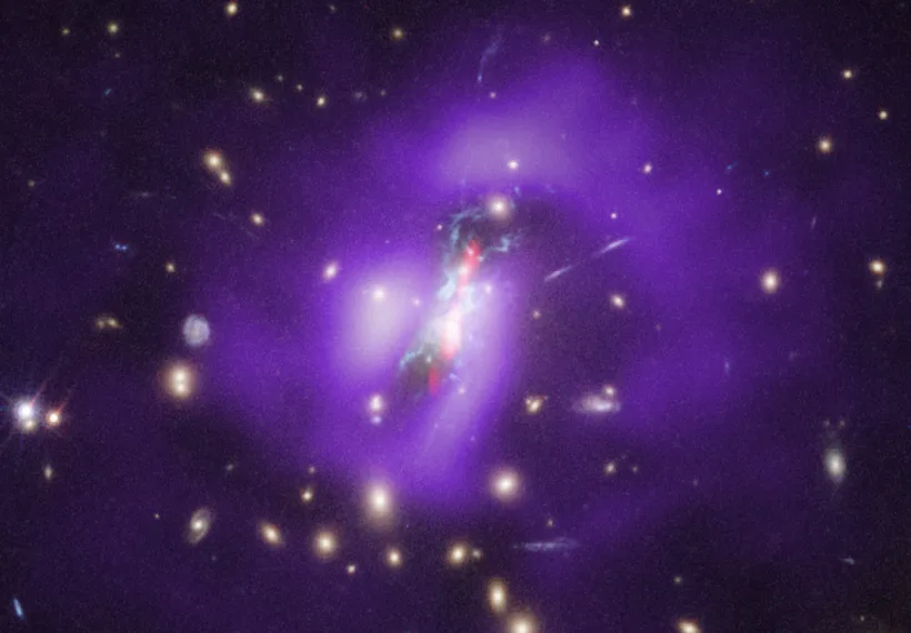 Image of the Phoenix Constellation by NASA, CXC, SAO, and G.Schellenberger.