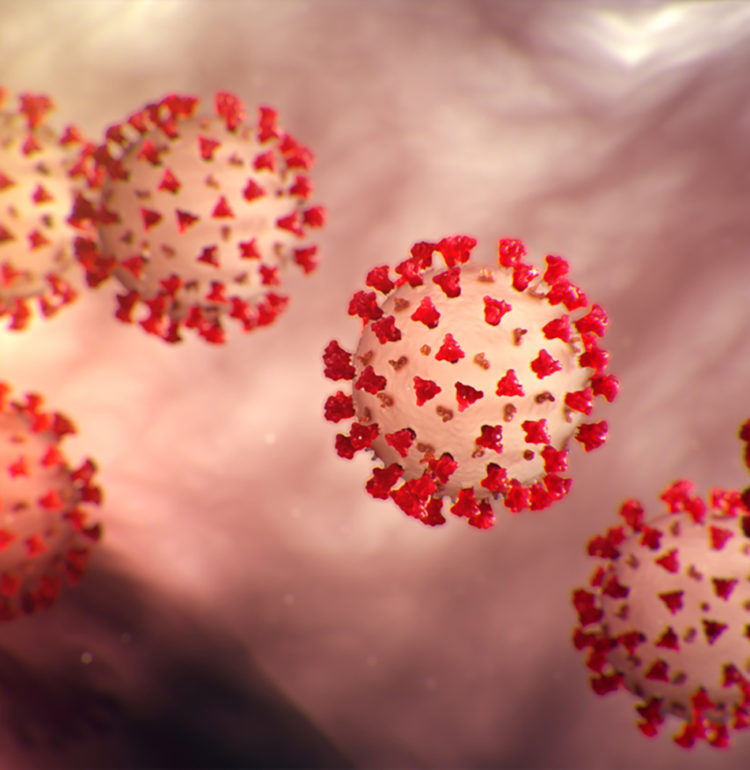 Image of the Coronavirus (COVID-19), courtesy of the Center for Disease Control.