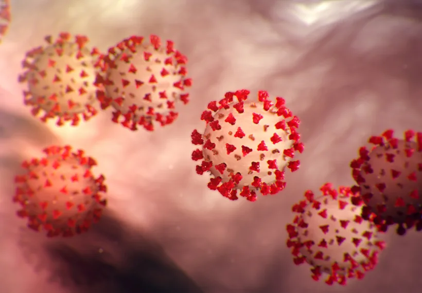 Image of the Coronavirus (COVID-19), courtesy of the Center for Disease Control.