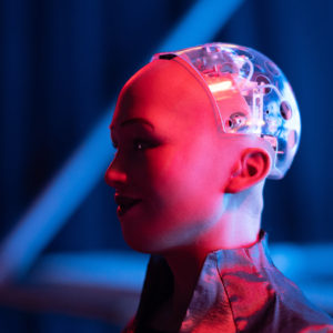 Web Summit’s Photo of Sophia the Robot.