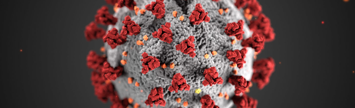 An illustration created by the Center for Disease Control of the ultrastructural morphology exhibited by coronaviruses.