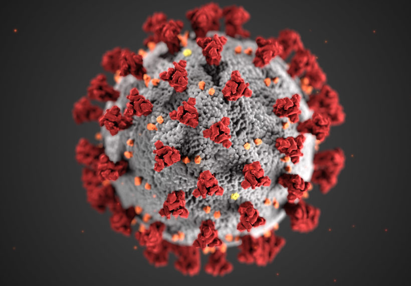 An illustration created by the Center for Disease Control of the ultrastructural morphology exhibited by coronaviruses.