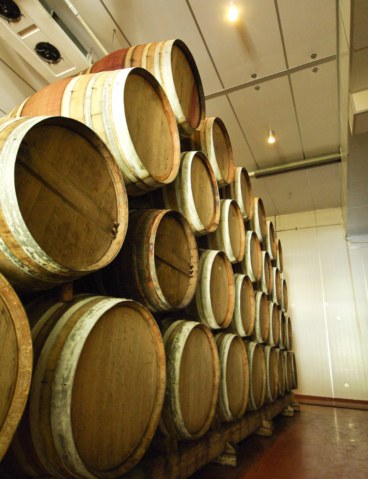 Storyblocks image of wine barrels stacked in a wine cellar for a StarTalk Cosmic Queries episode about fermentation.