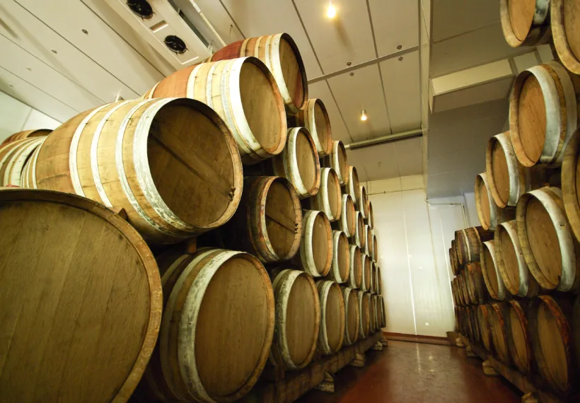 Storyblocks image of wine barrels stacked in a wine cellar for a StarTalk Cosmic Queries episode about fermentation.