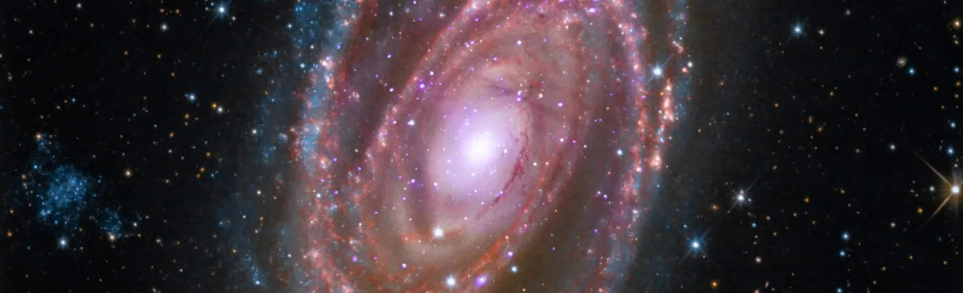 M81 is a spiral galaxy about 12 million light years away. Image by NASA/CXC/SAO; Optical: Detlef Hartmann; Infrared: NASA/JPL-Caltech