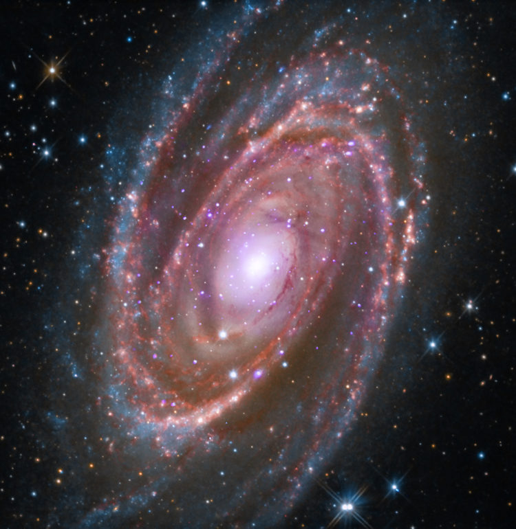 M81 is a spiral galaxy about 12 million light years away. Image by NASA/CXC/SAO; Optical: Detlef Hartmann; Infrared: NASA/JPL-Caltech