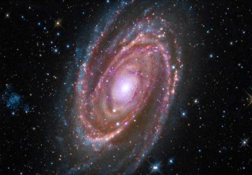 M81 is a spiral galaxy about 12 million light years away. Image by NASA/CXC/SAO; Optical: Detlef Hartmann; Infrared: NASA/JPL-Caltech
