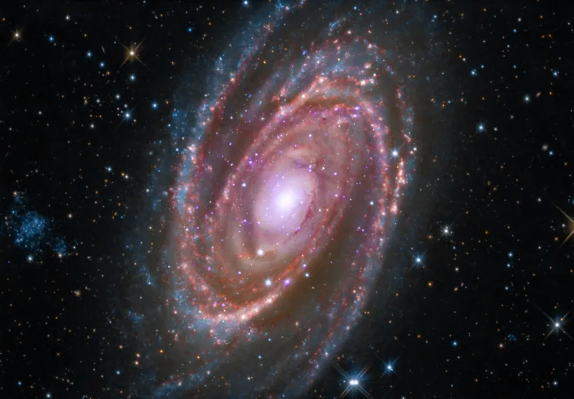 M81 is a spiral galaxy about 12 million light years away. Image by NASA/CXC/SAO; Optical: Detlef Hartmann; Infrared: NASA/JPL-Caltech