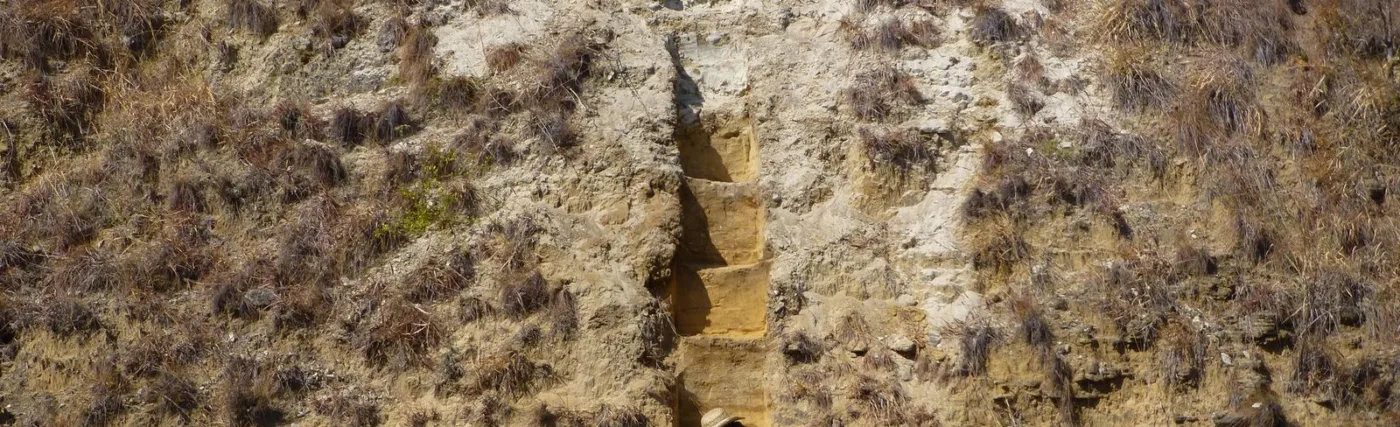 Tina Lüdecke’s Photo of Herself Doing Fieldwork.