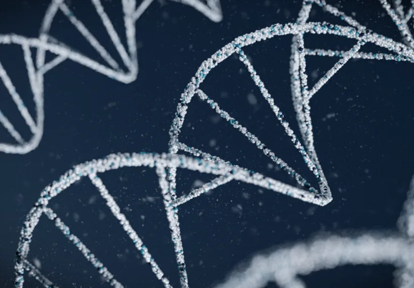 A 3D rendering of a DNA molecule.