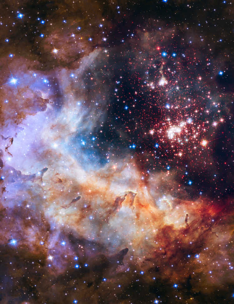NASA’s photo of the star cluster Westerlund 2 in the Milky Way galaxy, with an estimated age of about one or two million years. It contains some of the hottest, brightest, and most massive stars known.