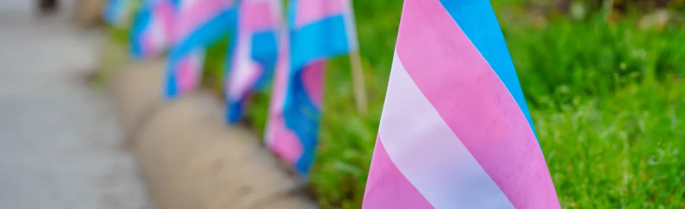 Trans Pride Flags