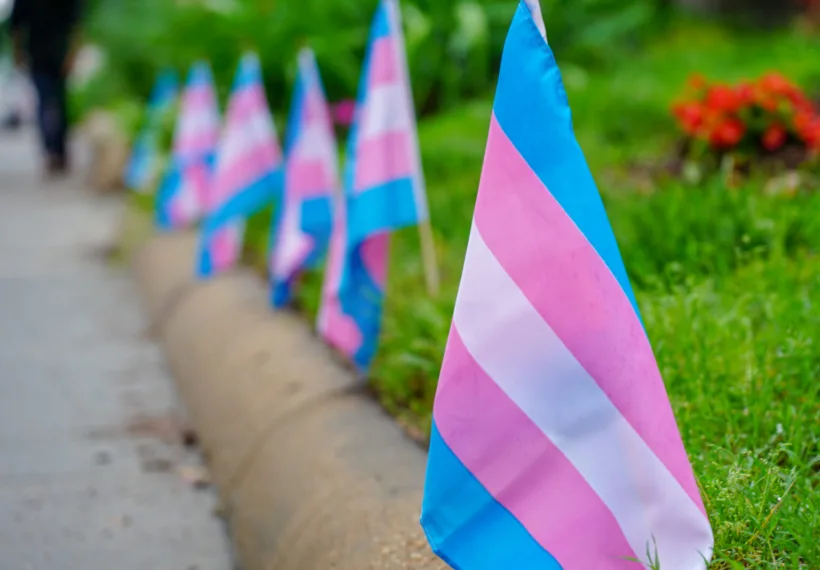 Trans Pride Flags
