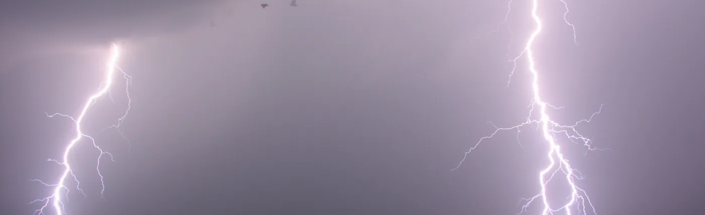 Lightning over Schaffhausen and Kohlfirst, photographed from Dörflingen. The bird in the picture appears 4 times because of the stroboscopic effect of the lightning.