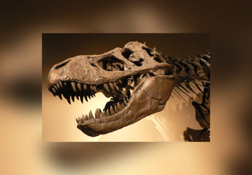 Tyrannosaurus rex, Palais de la Découverte, Paris