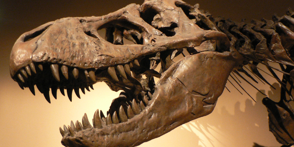 Cosmic Queries – Dinosaur Discoveries with Kimberly Chapelle - StarTalk Radio - Vimarsana News