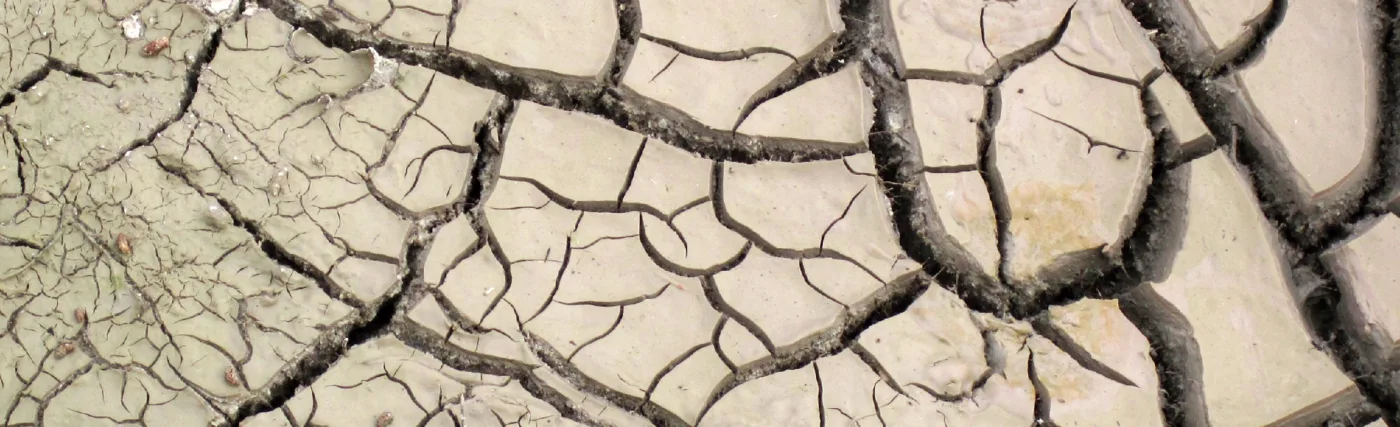 Mudcracks are diagnostic sedimentary structures indicating subaerial exposure of sediment surfaces, with alternating wet & dry conditions. unnamed hot spring 20 meters south of Ragged Spring, Black Sand Basin, Upper Geyser Basin, Yellowstone Hotspot Volcano, northwestern Wyoming, USA