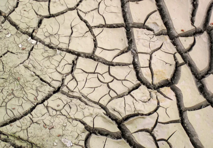 Mudcracks are diagnostic sedimentary structures indicating subaerial exposure of sediment surfaces, with alternating wet & dry conditions. unnamed hot spring 20 meters south of Ragged Spring, Black Sand Basin, Upper Geyser Basin, Yellowstone Hotspot Volcano, northwestern Wyoming, USA