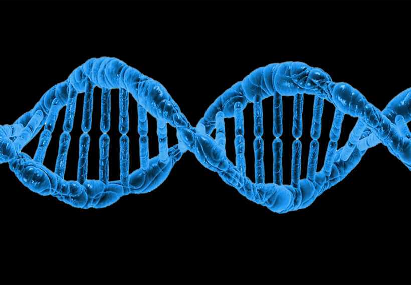 DNA is an organic compound in which the molecules hold the genetic instructions that organize the development and functioning of all living things, as well as some viruses. These compounds are responsible for transmitting the unique and specific characteristics of each living being.