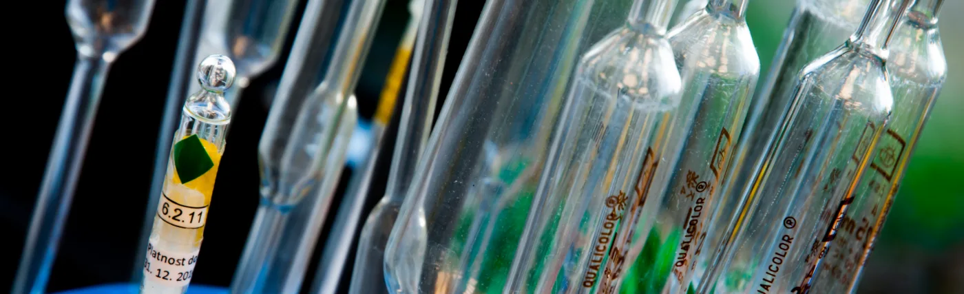 Test tubes used in a laboratory for chemical analysis