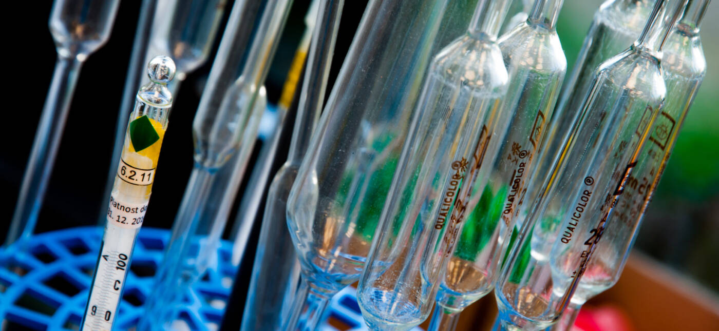 Test tubes used in a laboratory for chemical analysis