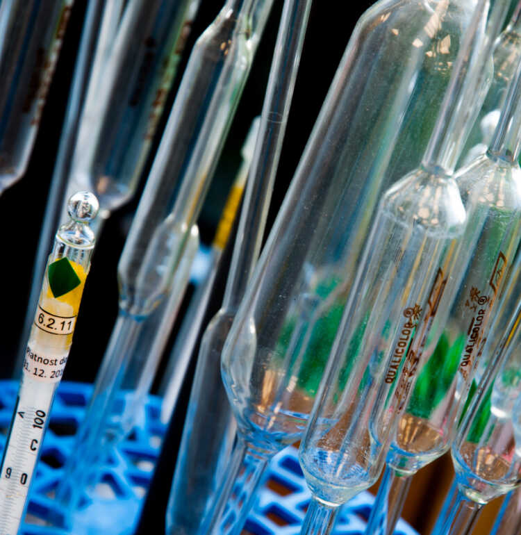 Test tubes used in a laboratory for chemical analysis