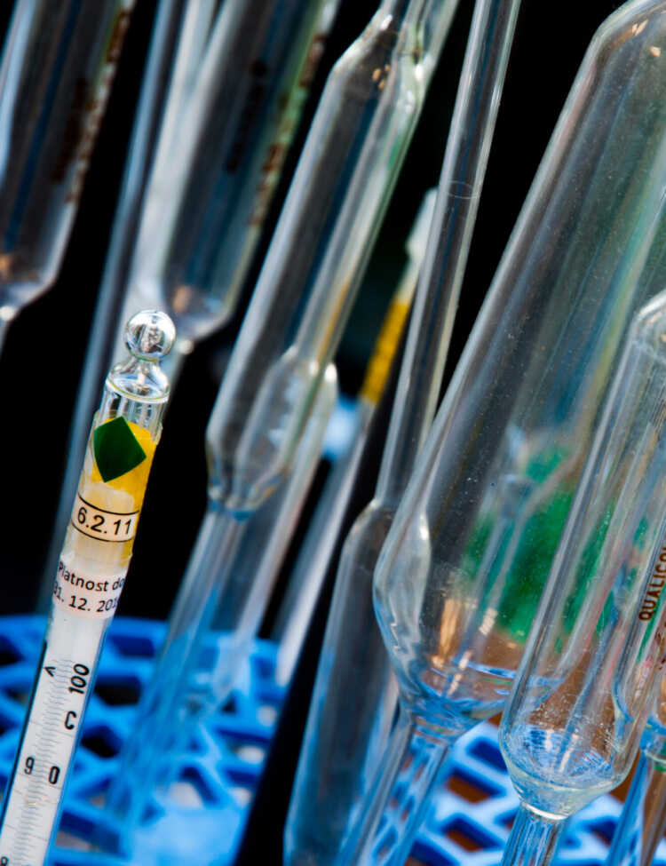 Test tubes used in a laboratory for chemical analysis