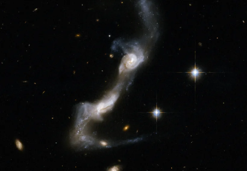 UGC 8335 is a strongly interacting pair of spiral galaxies resembling two ice skaters. The interaction has united the galaxies via a bridge of material and has yanked two strongly curved tails of gas and stars from the outer parts of their bodies . Both galaxies show dust lanes in their centers. UGC 8335 is located in the constellation of Ursa Major, the Great Bear, about 400 million light-years from Earth. It is the 238th galaxy in Arp's Atlas of Peculiar Galaxies.
