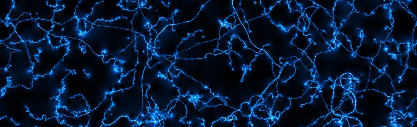 This image is a computer generated simulation that represents the gradient magnitude of cosmic strings induced anisotropies in the Cosmic Microwave Background.