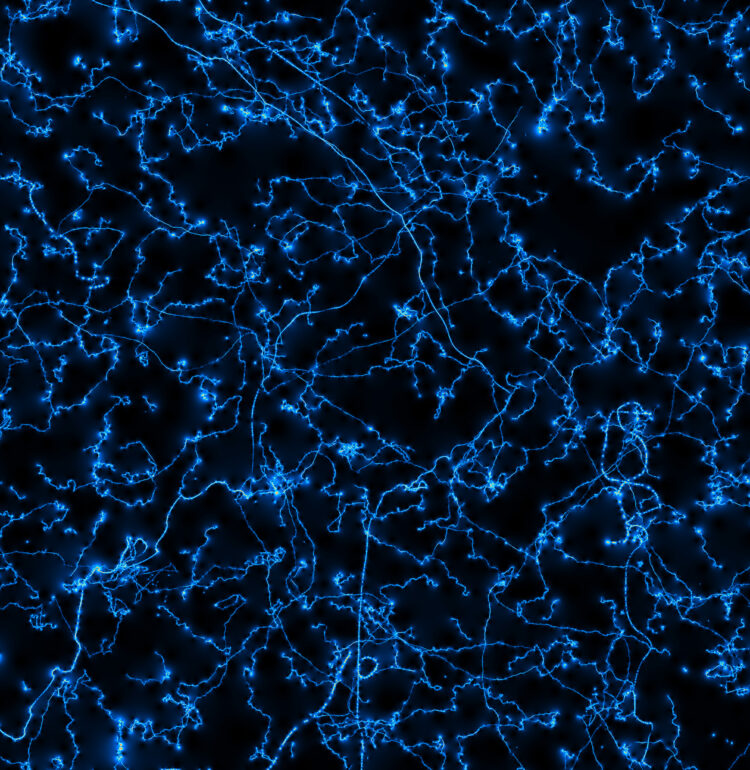 This image is a computer generated simulation that represents the gradient magnitude of cosmic strings induced anisotropies in the Cosmic Microwave Background.