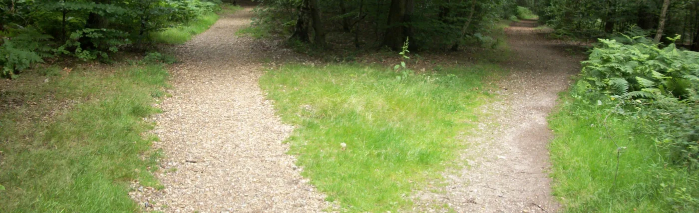 Fork in path