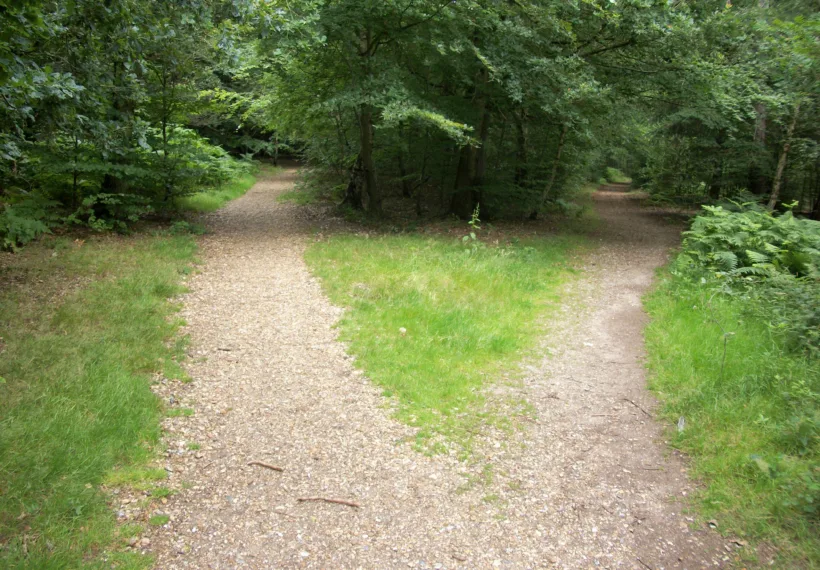 Fork in path